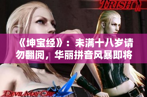 《坤宝经》：未满十八岁请勿翻阅，华丽拼音风暴即将来袭！