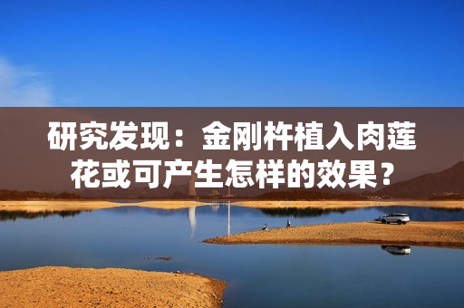 研究发现：金刚杵植入肉莲花或可产生怎样的效果？