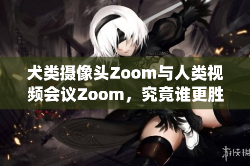 犬类摄像头Zoom与人类视频会议Zoom，究竟谁更胜一筹？(1)