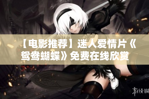 【电影推荐】迷人爱情片《鸳鸯蝴蝶》免费在线欣赏
