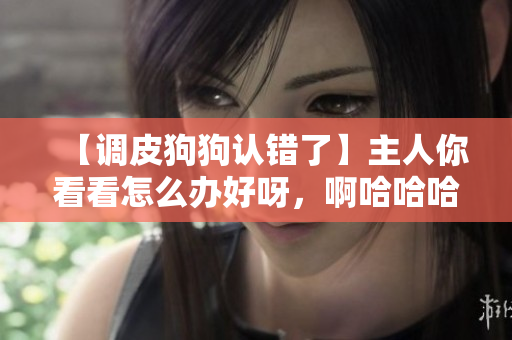 【调皮狗狗认错了】主人你看看怎么办好呀，啊哈哈哈哈！