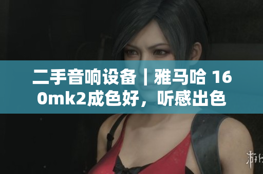 二手音响设备｜雅马哈 160mk2成色好，听感出色