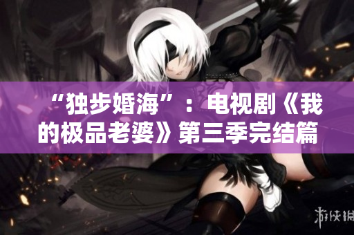 “独步婚海”：电视剧《我的极品老婆》第三季完结篇