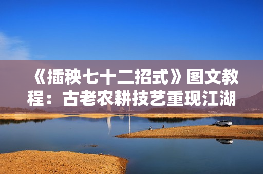 《插秧七十二招式》图文教程：古老农耕技艺重现江湖