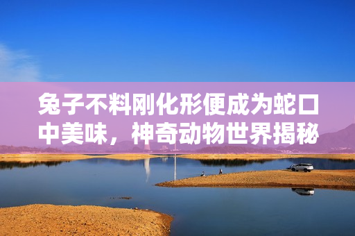 兔子不料刚化形便成为蛇口中美味，神奇动物世界揭秘