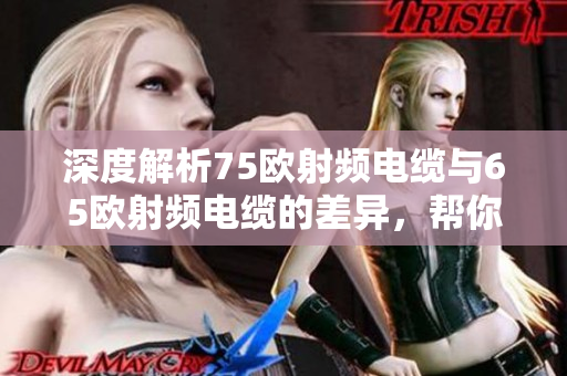 深度解析75欧射频电缆与65欧射频电缆的差异，帮你选购更合适的产品