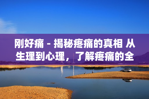 刚好痛 - 揭秘疼痛的真相 从生理到心理，了解疼痛的全貌(1)