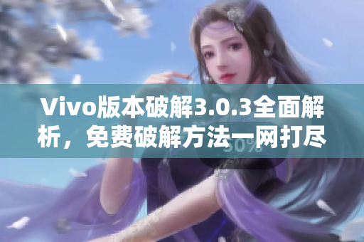 Vivo版本破解3.0.3全面解析，免费破解方法一网打尽