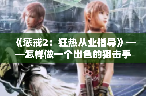 《惩戒2：狂热从业指导》——怎样做一个出色的狙击手？