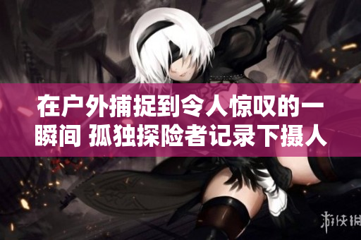 在户外捕捉到令人惊叹的一瞬间 孤独探险者记录下摄人心魄的视频片段