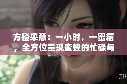 方橙采意：一小时，一蜜箱，全方位呈现蜜蜂的忙碌与温柔