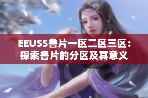 EEUSS鲁片一区二区三区：探索鲁片的分区及其意义