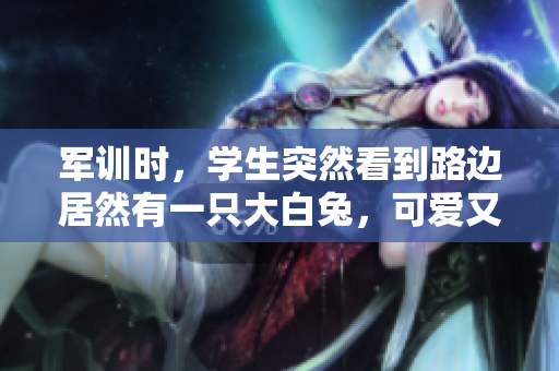 军训时，学生突然看到路边居然有一只大白兔，可爱又萌！