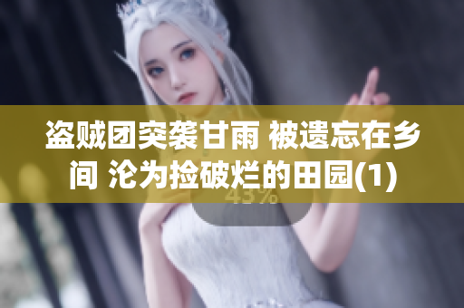 盗贼团突袭甘雨 被遗忘在乡间 沦为捡破烂的田园(1)