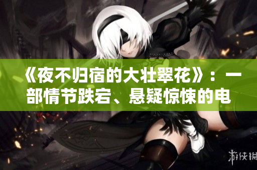 《夜不归宿的大壮翠花》：一部情节跌宕、悬疑惊悚的电视剧