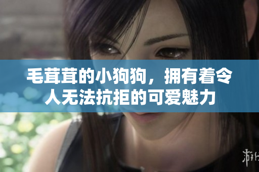 毛茸茸的小狗狗，拥有着令人无法抗拒的可爱魅力