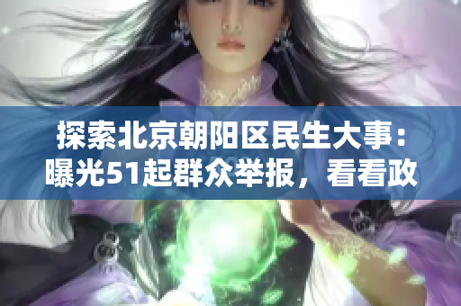 探索北京朝阳区民生大事：曝光51起群众举报，看看政府如何回应？