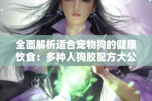 全面解析适合宠物狗的健康饮食：多种人狗胶配方大公开