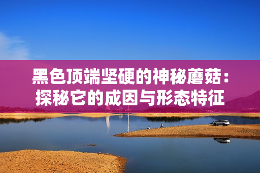 黑色顶端坚硬的神秘蘑菇：探秘它的成因与形态特征