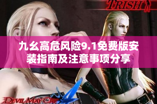 九幺高危风险9.1免费版安装指南及注意事项分享