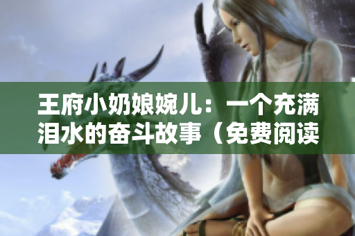 王府小奶娘婉儿：一个充满泪水的奋斗故事（免费阅读）
