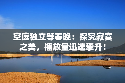 空庭独立等春晚：探究寂寞之美，播放量迅速攀升！