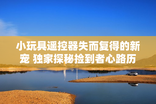 小玩具遥控器失而复得的新宠 独家探秘捡到者心路历程