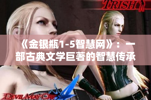 《金银瓶1-5智慧网》：一部古典文学巨著的智慧传承