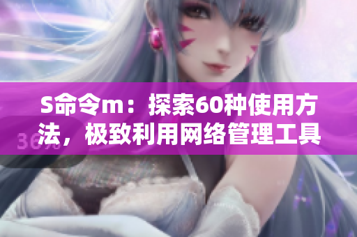 S命令m：探索60种使用方法，极致利用网络管理工具