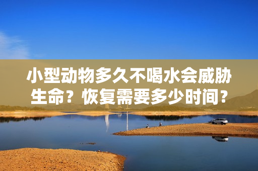 小型动物多久不喝水会威胁生命？恢复需要多少时间？
