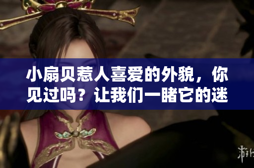 小扇贝惹人喜爱的外貌，你见过吗？让我们一睹它的迷人之处！