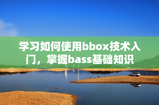学习如何使用bbox技术入门，掌握bass基础知识