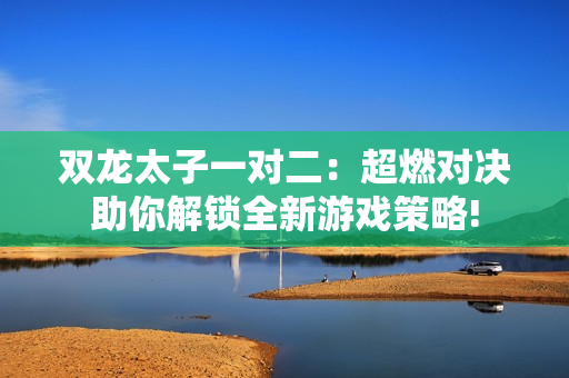 双龙太子一对二：超燃对决助你解锁全新游戏策略!