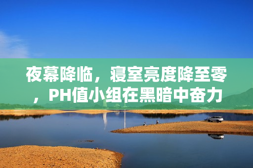 夜幕降临，寝室亮度降至零，PH值小组在黑暗中奋力编辑