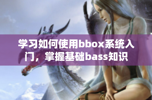 学习如何使用bbox系统入门，掌握基础bass知识