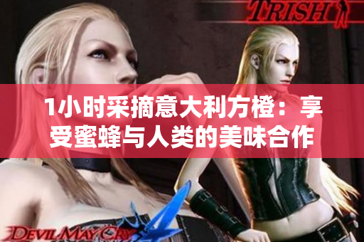 1小时采摘意大利方橙：享受蜜蜂与人类的美味合作