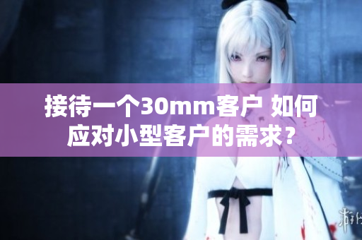 接待一个30mm客户 如何应对小型客户的需求？