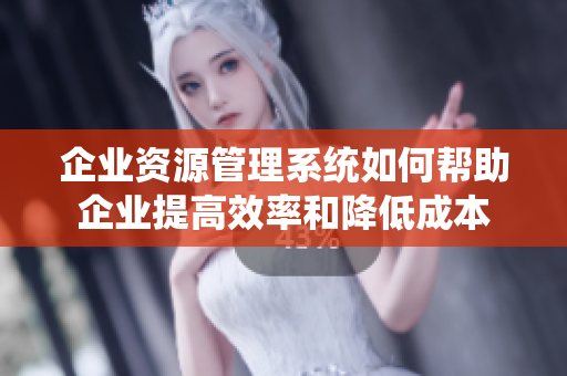 企业资源管理系统如何帮助企业提高效率和降低成本