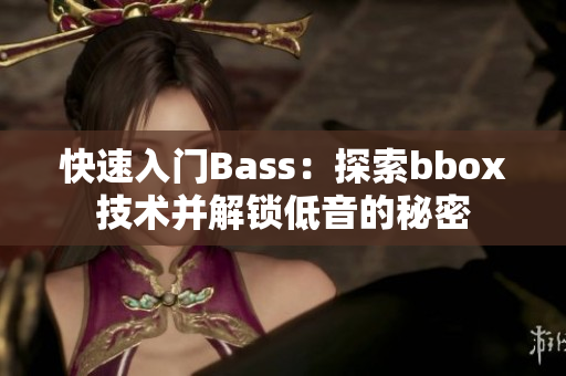 快速入门Bass：探索bbox技术并解锁低音的秘密