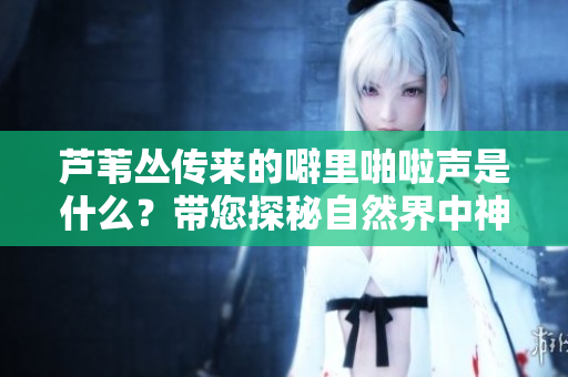 芦苇丛传来的噼里啪啦声是什么？带您探秘自然界中神秘的声音